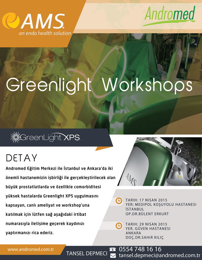 Greenlight180WattWorkshop